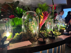 Estudio Alba at Reciprocity during NYC Jewelry Week