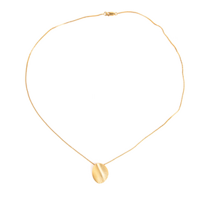 Gold necklace with a shell pendant on a white background
