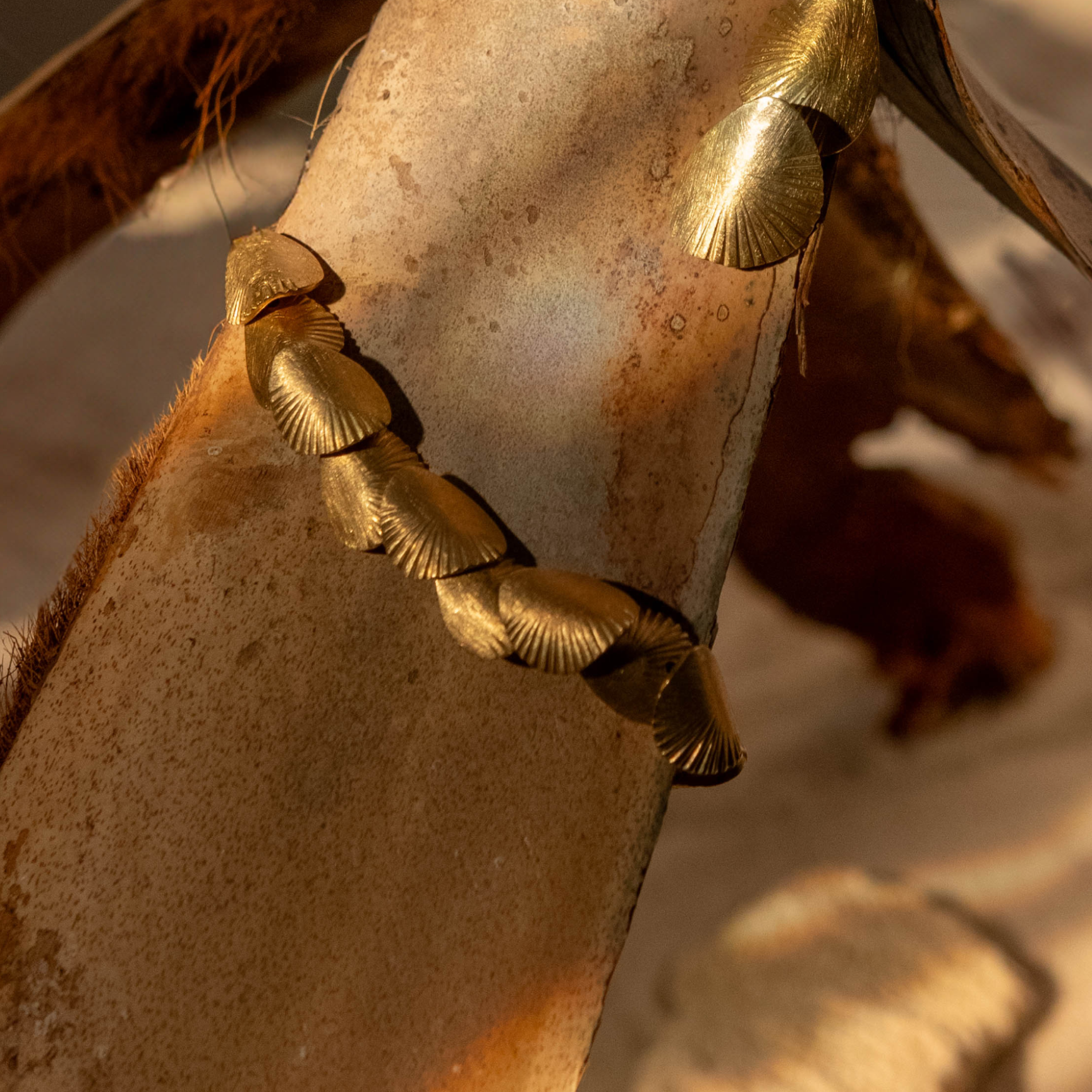 Close-up of a horse's head with a detailed bridle in a natural setting